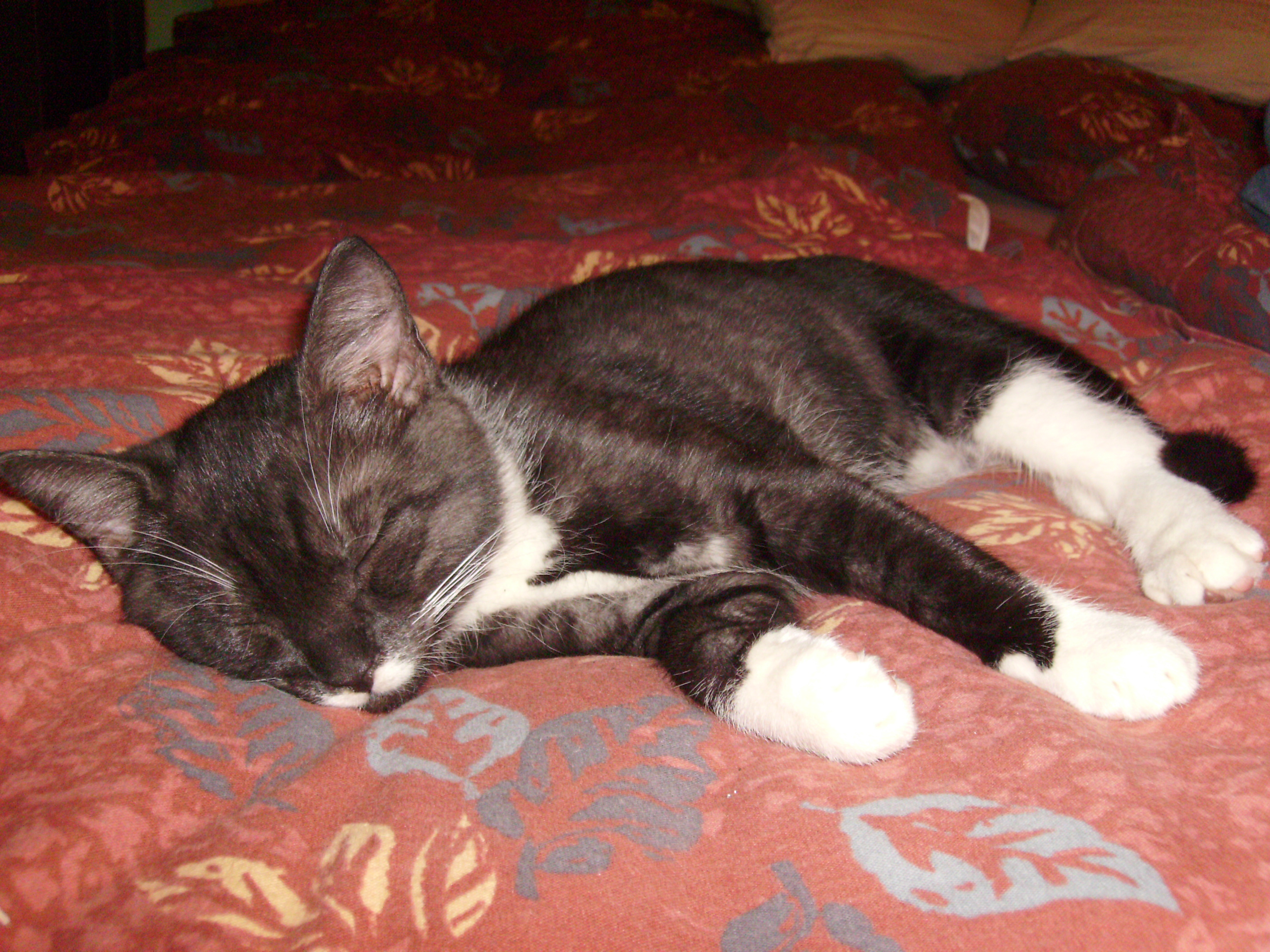 leto07 016.jpg